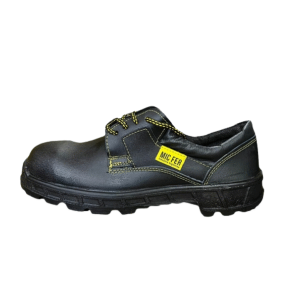 ZAPATO CON PUNTERA MICFER