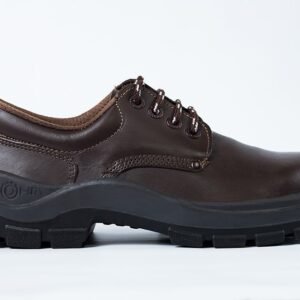 ZAPATO CON PUNTERA BOHM