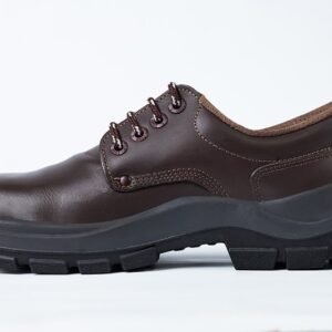 ZAPATO CON PUNTERA BOHM