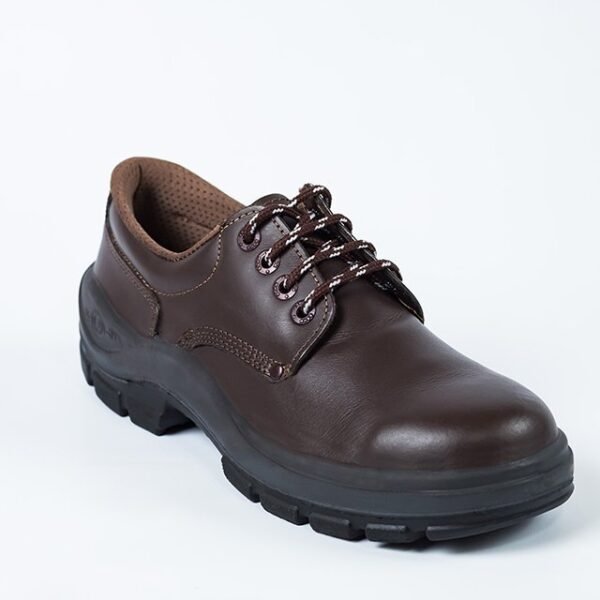 ZAPATO CON PUNTERA BOHM