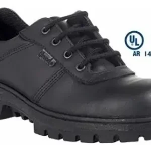 ZAPATO CON PUNTERA PARDO